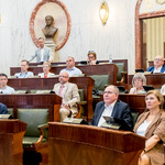 widok sali Sejmu, w ławach zasiadają radni